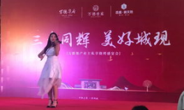 同辉娱乐,打造多元化娱乐生态，引领行业新潮流
