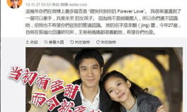 娱乐吃瓜明星离婚,当红明星离婚事件引发热议