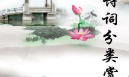 古诗欣赏,穿越时空的韵律与情感
