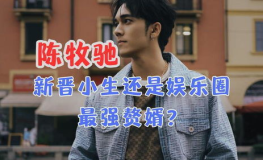 陈牧驰娱乐圈吃瓜,恋情疑云、婚姻揭秘与网络暴力全纪录