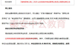公务员考试简章,全面解析考试科目、流程与备考策略