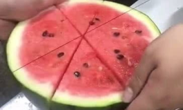 没有刀怎么吃网瓜,探索网瓜的独特食用之道