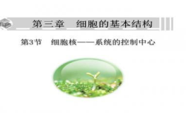 课件中心,探索人与产品、环境、系统之间互动的艺术