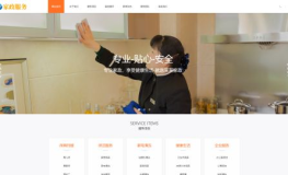 网站保姆,全方位网站监控与数据检测助手