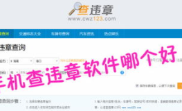 长春汽车违章查询,便捷查询与处理指南