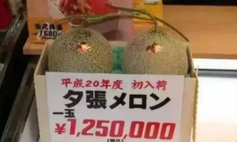 娱乐吃瓜酱礼金,揭秘娱乐圈背后的神秘交易