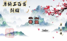 春望古诗,杜甫笔下国破山河的悲壮史诗