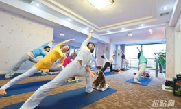 杭州瑜伽,身心和谐之旅