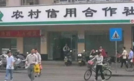 农村信用社,助力乡村振兴的金融纽带