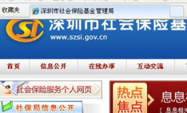深圳社保网,轻松掌握社保查询与办理技巧
