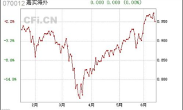 嘉实海外基金070012,跨越国界的投资桥梁与稳健收益策略