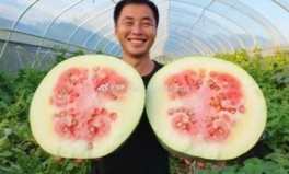 她已认不得人却始终忘不了让你吃瓜今日吃瓜网91