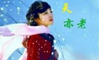 天若有情天亦老,探寻人生无常与永恒的哲学沉思