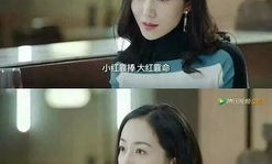 有关娱乐圈吃瓜小说推荐,揭秘明星背后的秘密，吃瓜小说推荐盘点