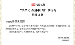 娱乐吃瓜评论文案,揭秘幕后真相与人物命运